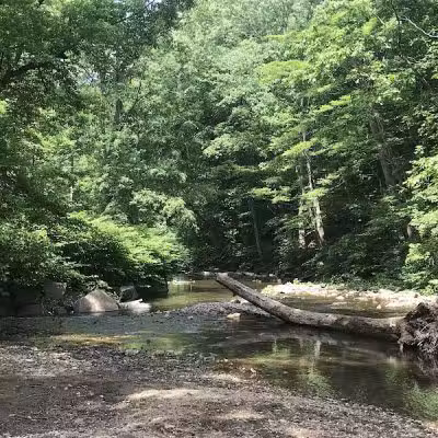 West Mill Creek Park - Gladwyne, PA