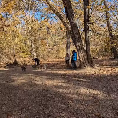 West Mill Creek Park - Gladwyne, PA