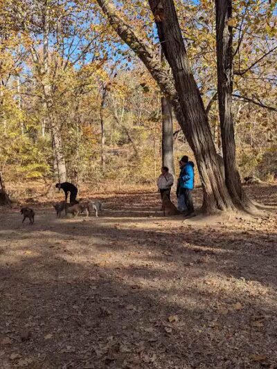 West Mill Creek Park - Gladwyne, PA