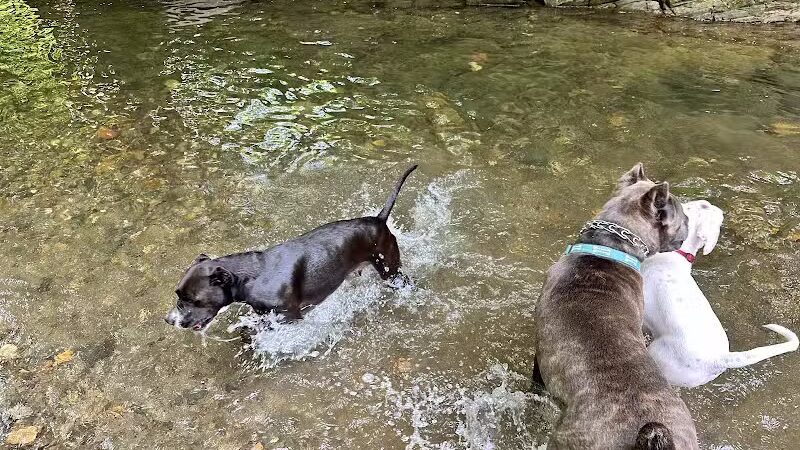 West Mill Creek Park - Gladwyne, PA