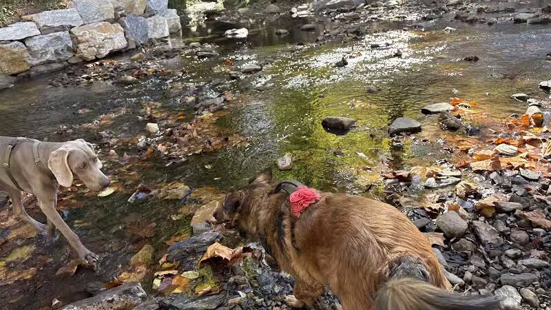 West Mill Creek Park - Gladwyne, PA