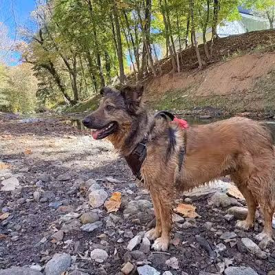 West Mill Creek Park - Gladwyne, PA