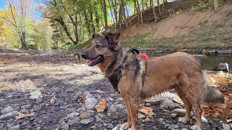 West Mill Creek Park - Gladwyne, PA