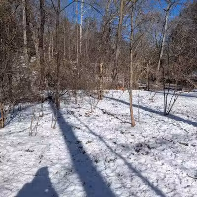 West Mill Creek Park - Gladwyne, PA