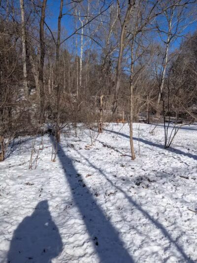 West Mill Creek Park - Gladwyne, PA