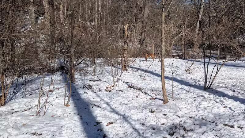 West Mill Creek Park - Gladwyne, PA
