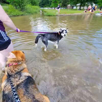 Burr Oak State Park Beach - Glouster, OH