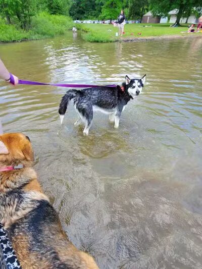 Burr Oak State Park Beach - Glouster, OH