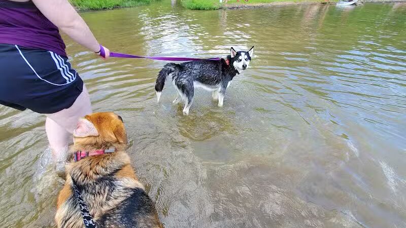 Burr Oak State Park Beach - Glouster, OH