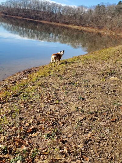 Burr Oak State Park Beach - Glouster, OH