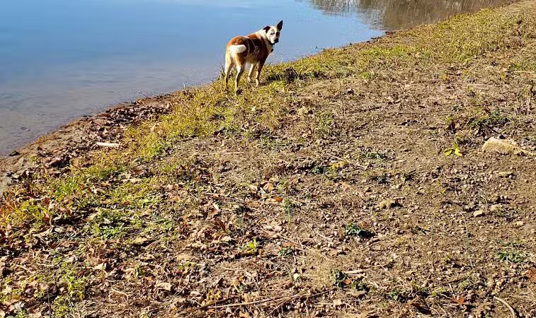 Burr Oak State Park Beach - Glouster, OH