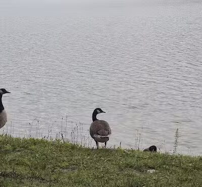 Burr Oak State Park Beach - Glouster, OH