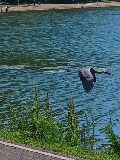 Burr Oak State Park Beach - Glouster, OH