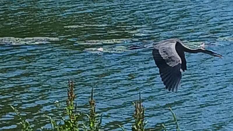 Burr Oak State Park Beach - Glouster, OH