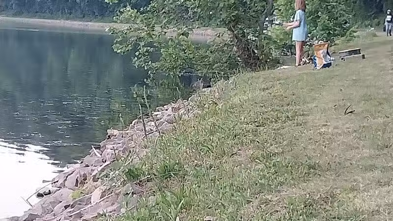 Burr Oak State Park Beach - Glouster, OH