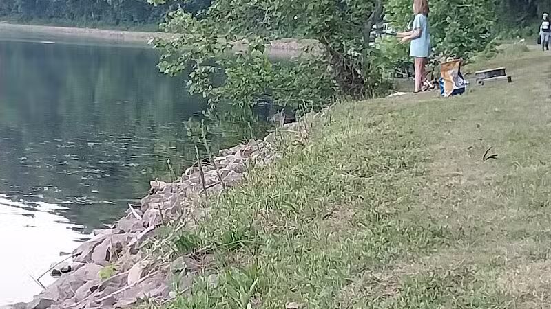Burr Oak State Park Beach - Glouster, OH