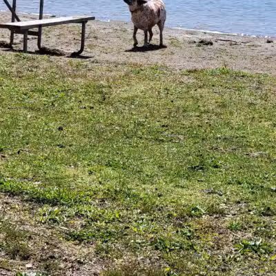 Burr Oak State Park Beach - Glouster, OH