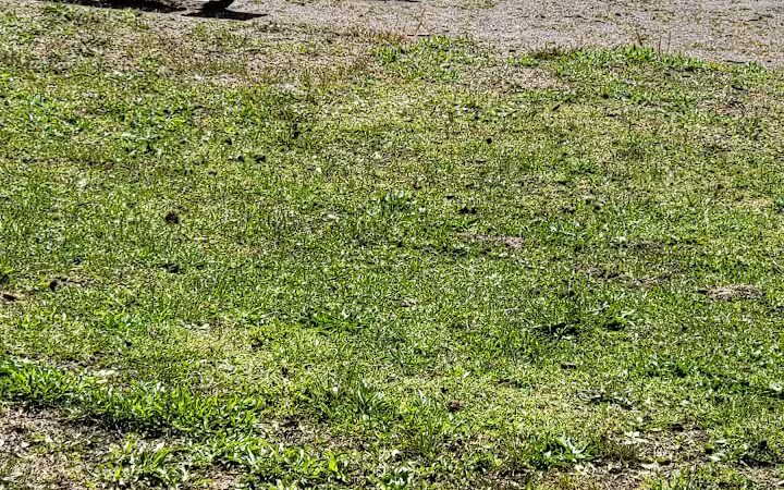 Burr Oak State Park Beach - Glouster, OH