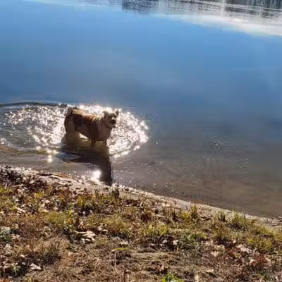 Burr Oak State Park Beach - Glouster, OH