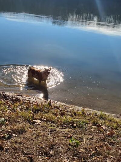 Burr Oak State Park Beach - Glouster, OH