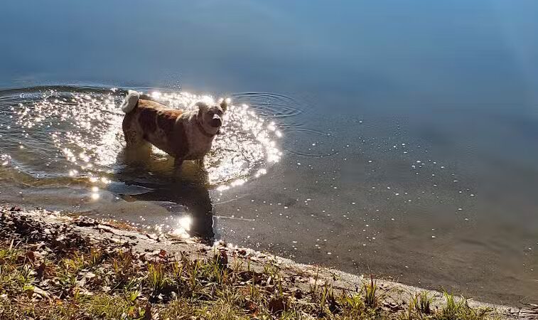 Burr Oak State Park Beach - Glouster, OH