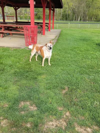 Glouster - Glouster, OH