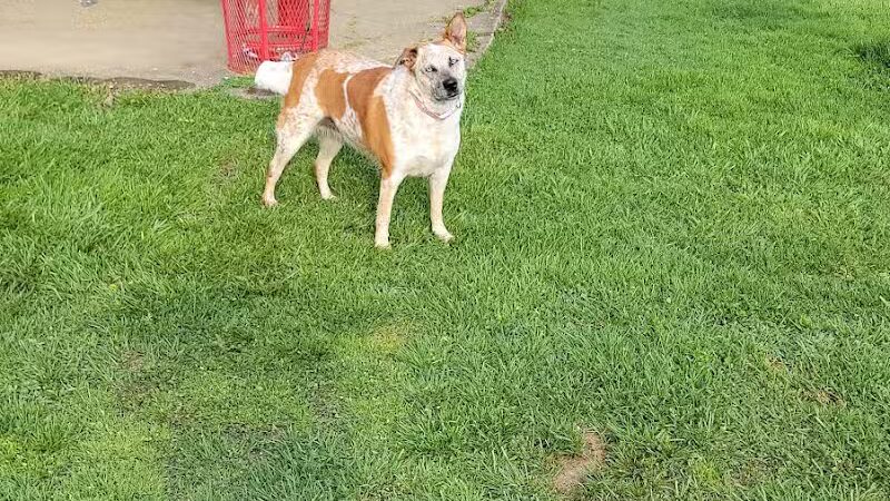 Glouster - Glouster, OH