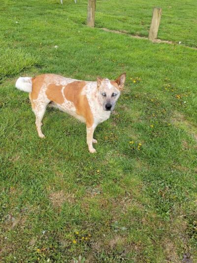 Glouster - Glouster, OH