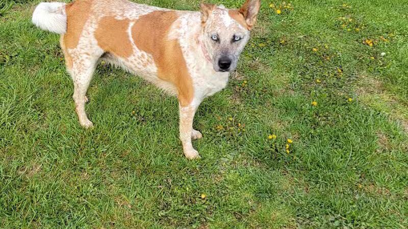 Glouster - Glouster, OH