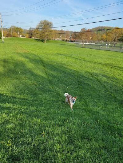 Glouster - Glouster, OH