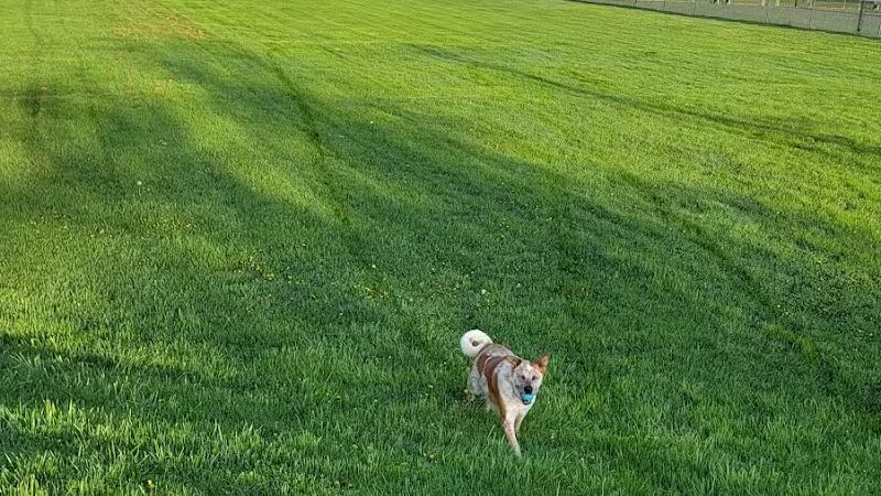 Glouster - Glouster, OH