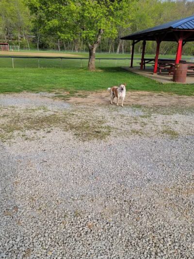 Glouster - Glouster, OH