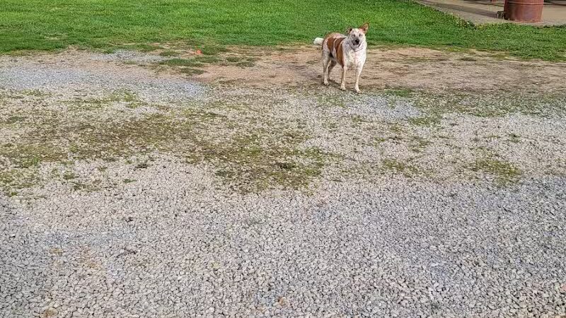 Glouster - Glouster, OH