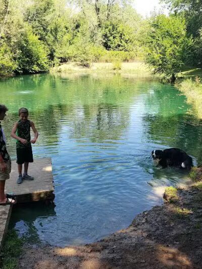 Robert L. Nelson Dog Park (Members Only) - Goshen, IN