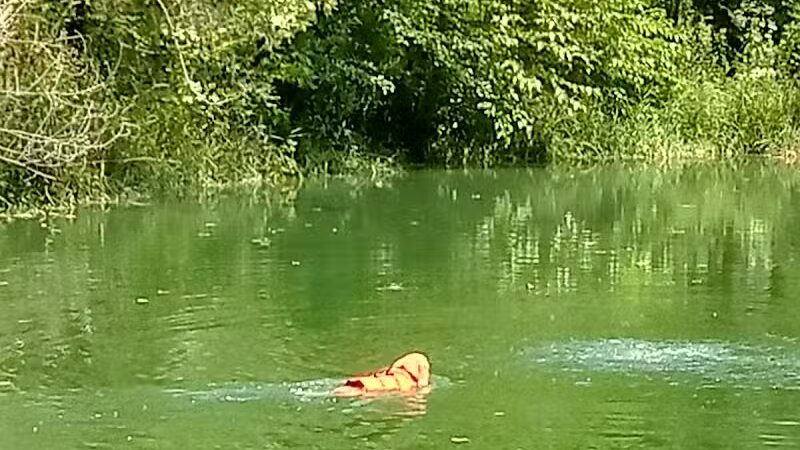 Robert L. Nelson Dog Park (Members Only) - Goshen, IN