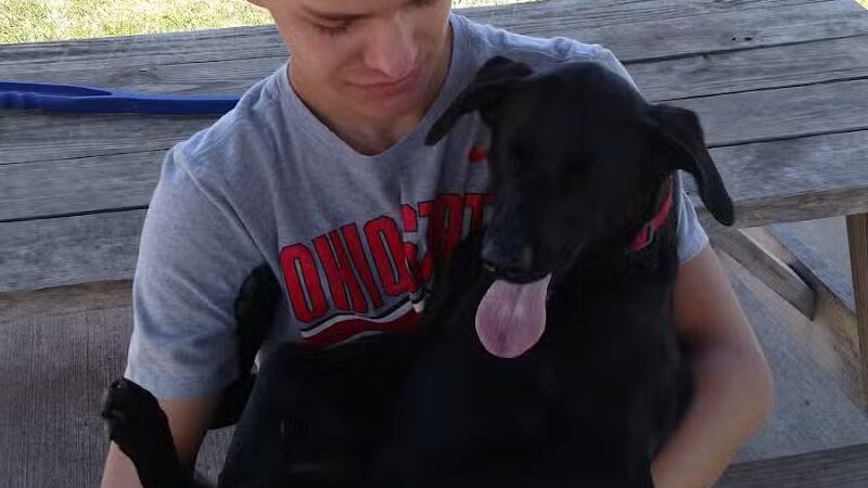 Robert L. Nelson Dog Park (Members Only) - Goshen, IN