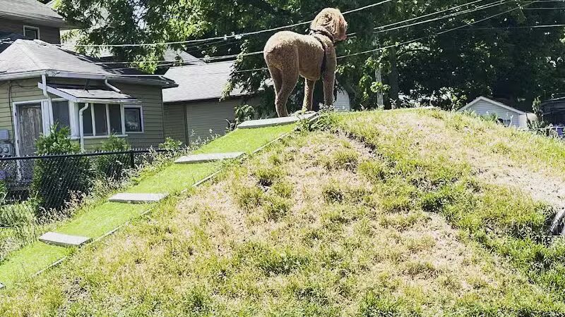 Sprocket Dog Park - Goshen, IN