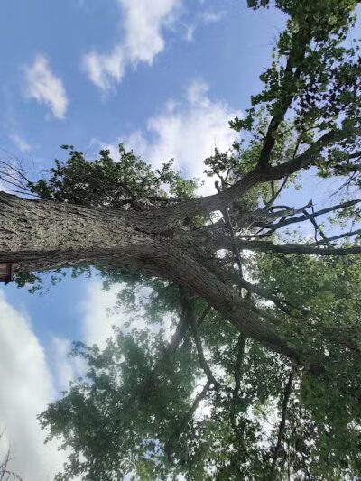Kathryn Stagge-Marr Community Park - Goshen, OH