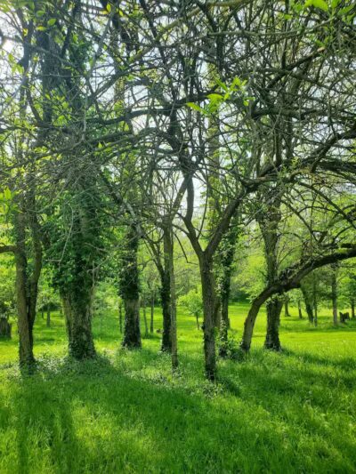 Kathryn Stagge-Marr Community Park - Goshen, OH