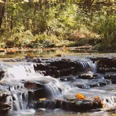 Long Branch Farm & Trails (Open to Cincinnati Nature Center members only) - Goshen, OH