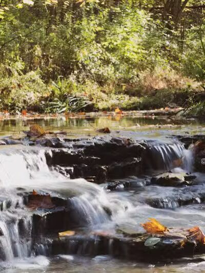 Long Branch Farm & Trails (Open to Cincinnati Nature Center members only) - Goshen, OH