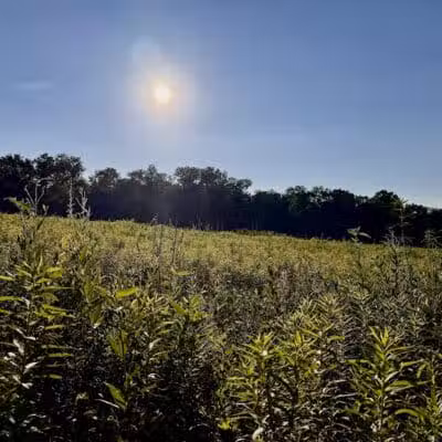 Long Branch Farm & Trails (Open to Cincinnati Nature Center members only) - Goshen, OH