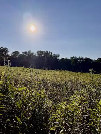 Long Branch Farm & Trails (Open to Cincinnati Nature Center members only) - Goshen, OH