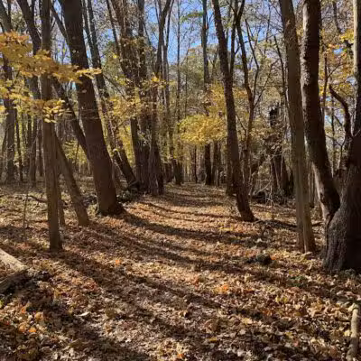 Long Branch Farm & Trails (Open to Cincinnati Nature Center members only) - Goshen, OH