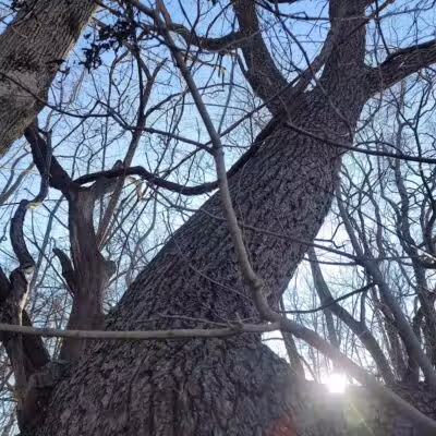 Long Branch Farm & Trails (Open to Cincinnati Nature Center members only) - Goshen, OH