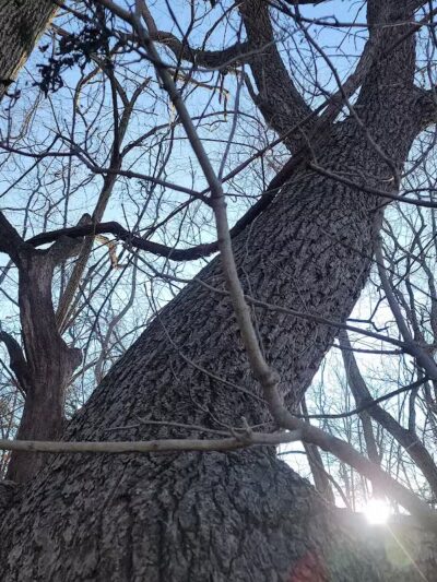 Long Branch Farm & Trails (Open to Cincinnati Nature Center members only) - Goshen, OH