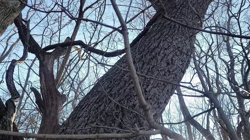 Long Branch Farm & Trails (Open to Cincinnati Nature Center members only) - Goshen, OH