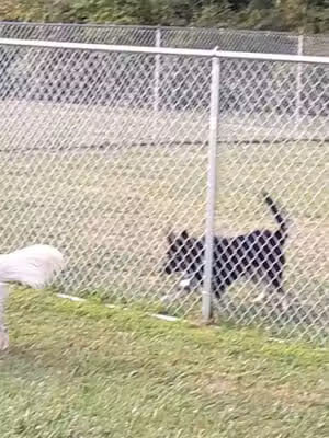 North Park Main Entrance - Grafton, OH