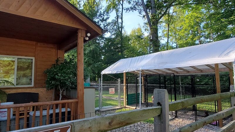 Paws Inn the Woods - Grafton, OH