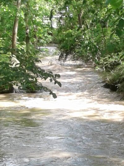 Reservoir Park - Grafton, OH